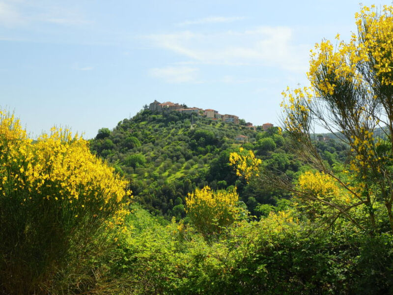 Poggio Velluto