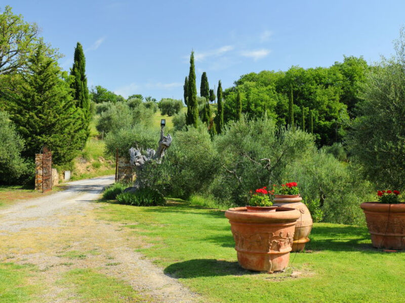 Poggio Velluto