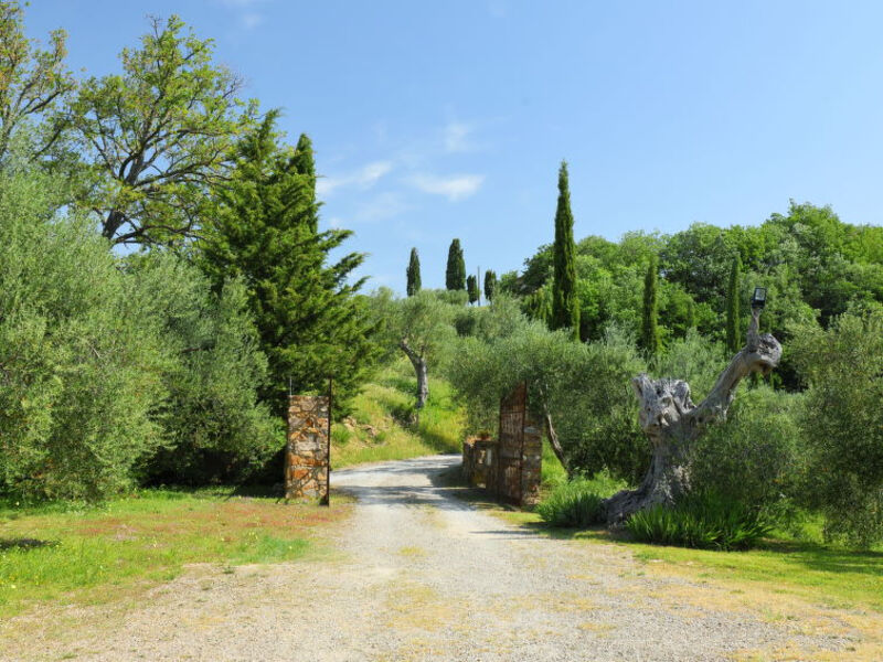 Poggio Velluto