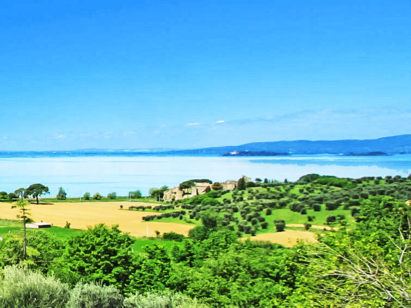 Casale dei tigli