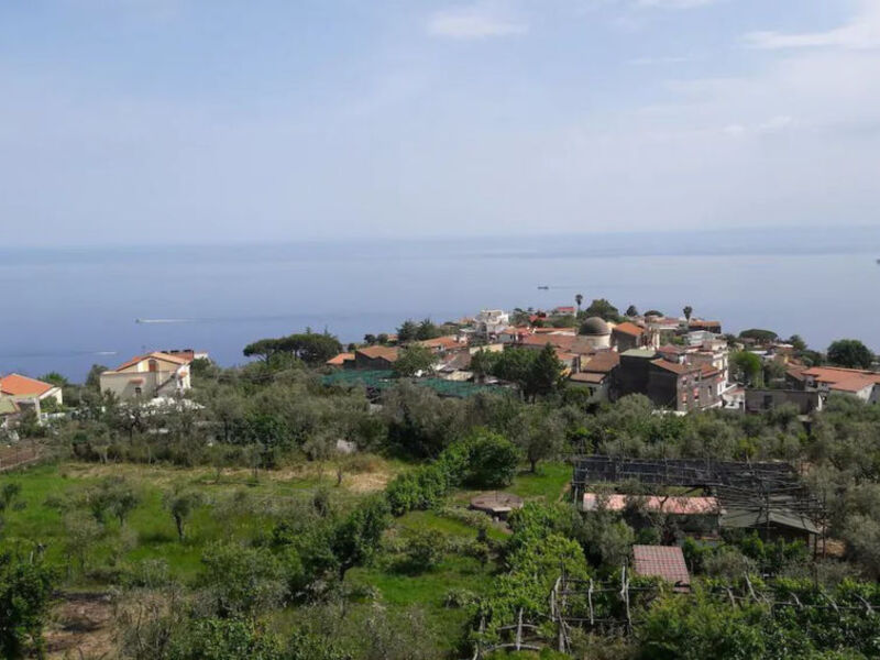 Garden House Li Galli