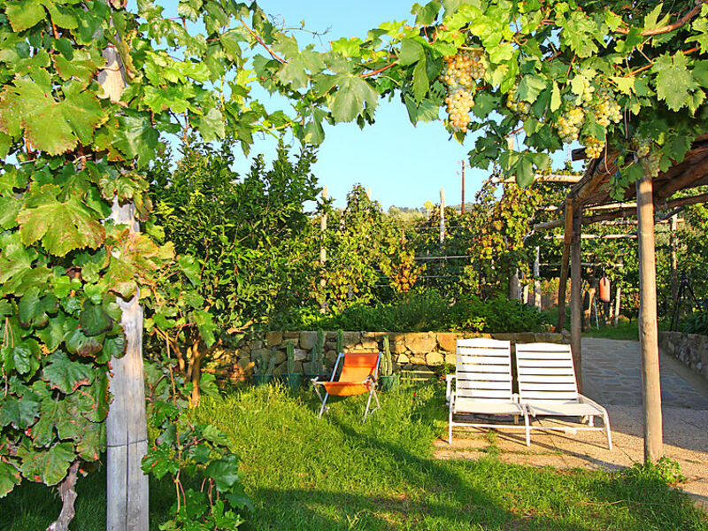 Baldassarre