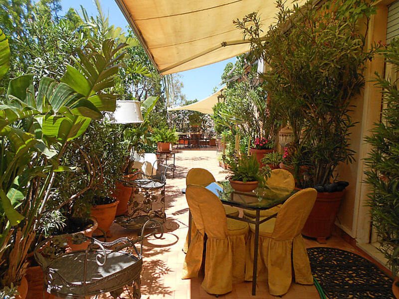 Giardino Delle Palme