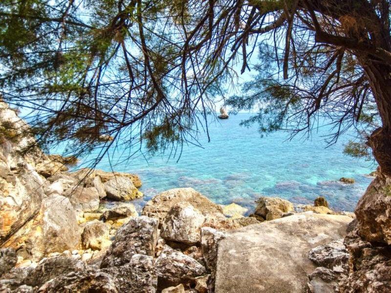 La Vela