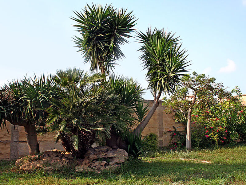 Sammartano