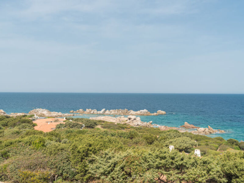 Malvasia