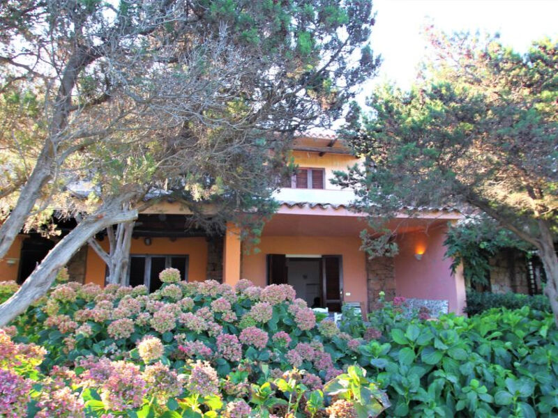 Ippocampo