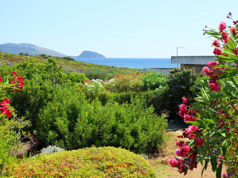 Vista Figari