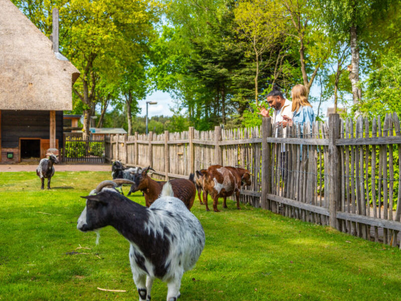 EuroParcs De Wije Werelt