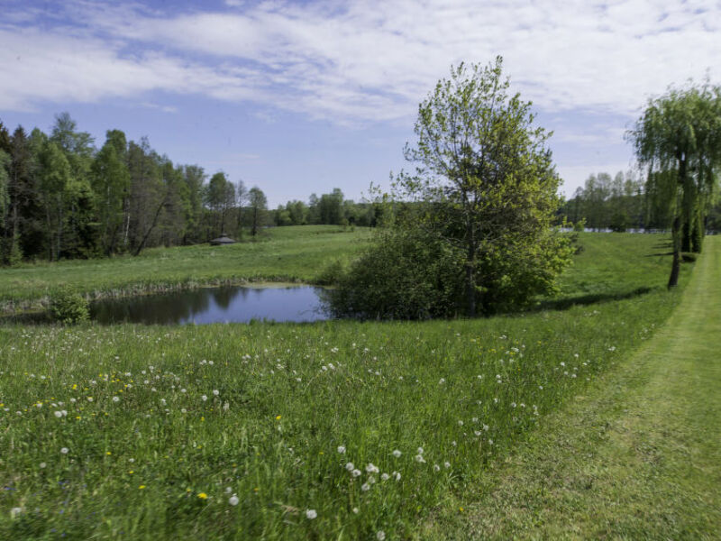 Agroturystyka Biesówko