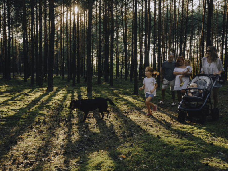 Stara Wieś Resort & Odnowa