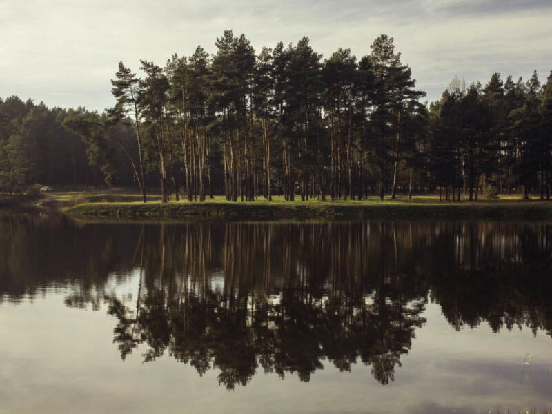 Stara Wieś Resort & Odnowa