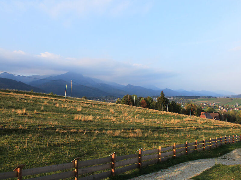 Duży