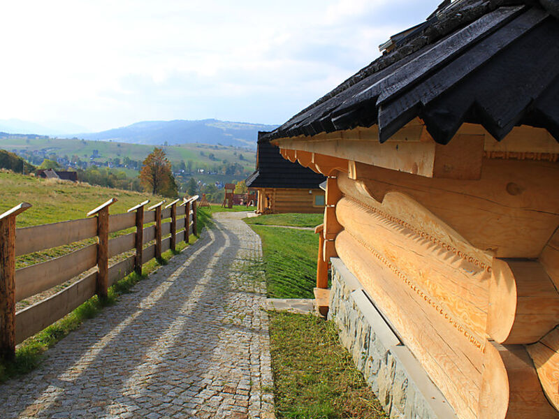Duży