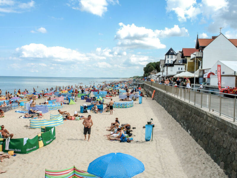 Jaś