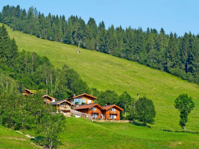 Chalet Nikola