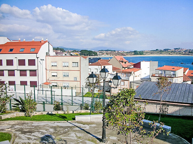 Palmeira I
