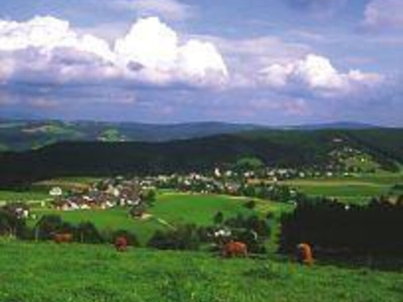 Hotel Breitenfelderhof
