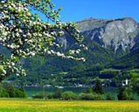 Gasthof Wolfgangstuben