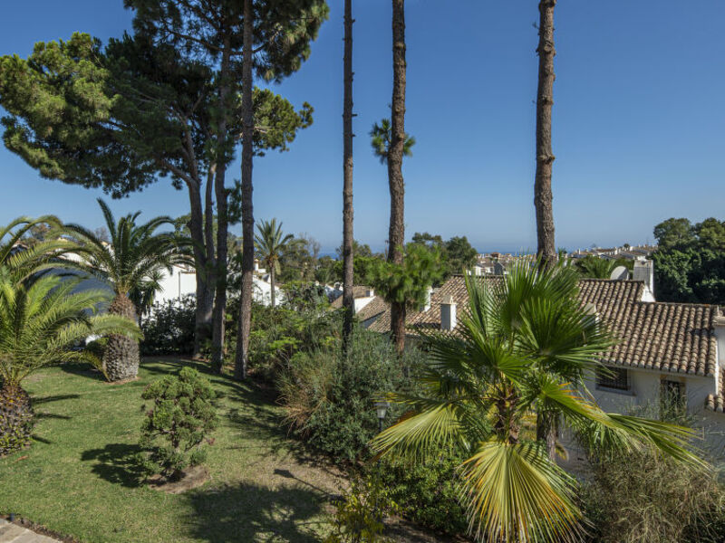 Monte Paraiso