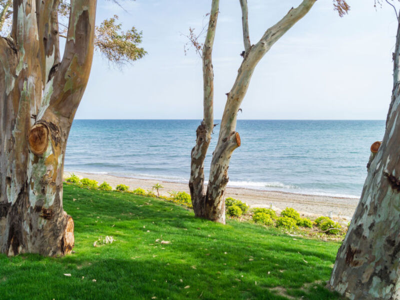 Garden Beach