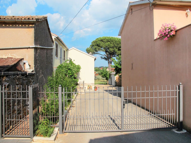 Pinia I