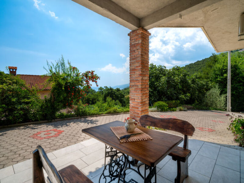 Evići