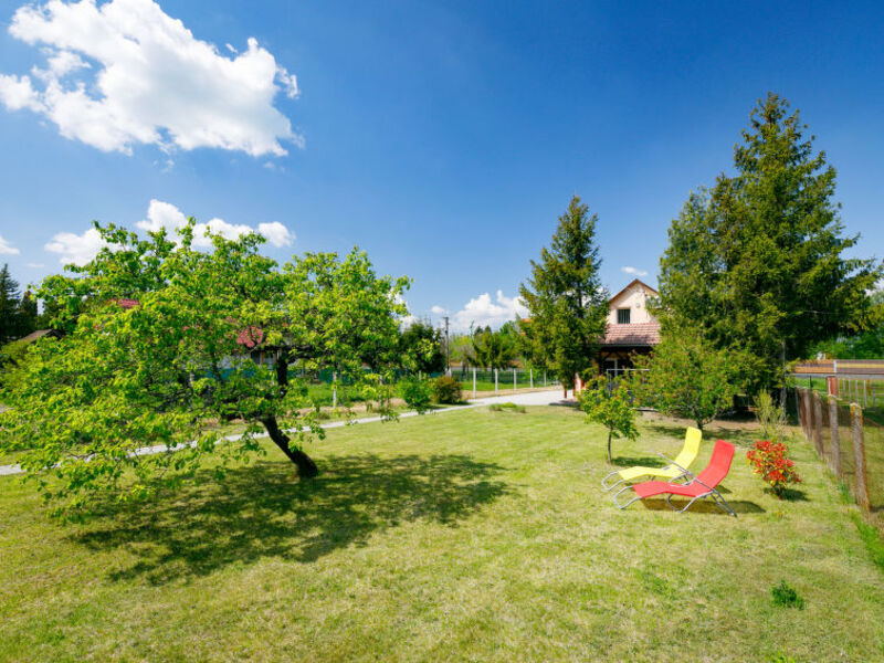 Pear Trees