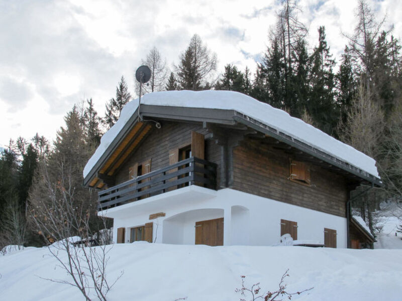 Chalet Edelweiss