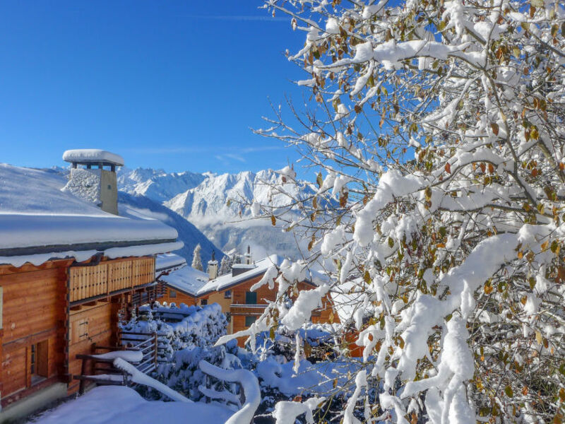 Boule De Neige