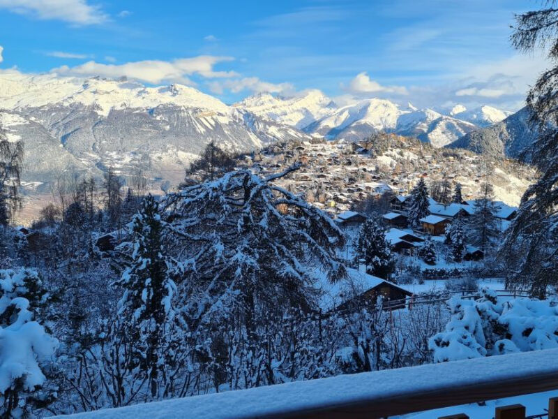 Chalet Les Anémones