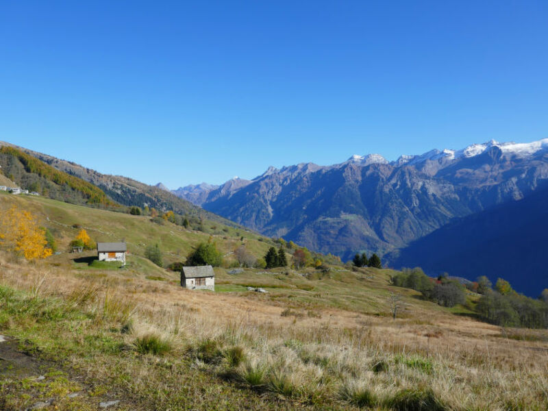 Rustico Andrea