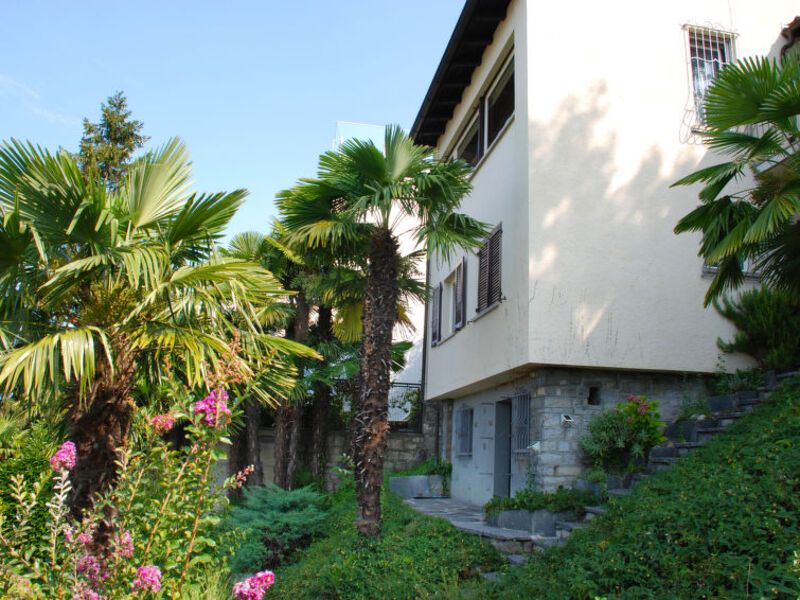 Nido Di Rondine