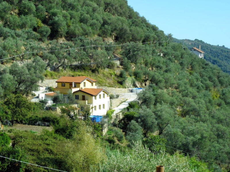 Adriana - Residenza Clara