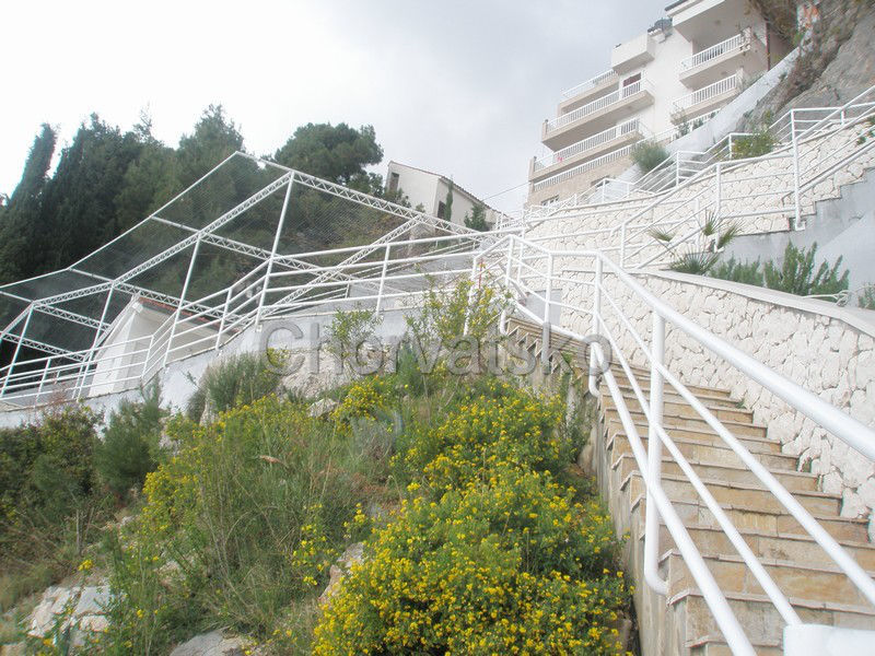 Apartmány Dalia
