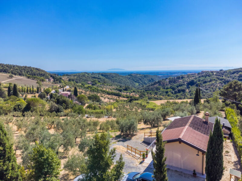 Oliveta