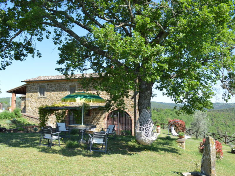 A Spasso Tra Gli Ulivi