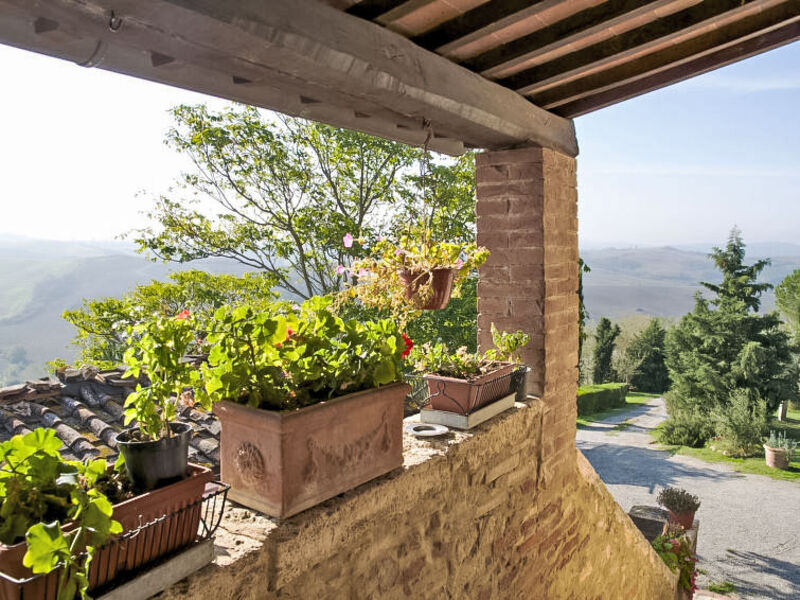Crete Senesi View