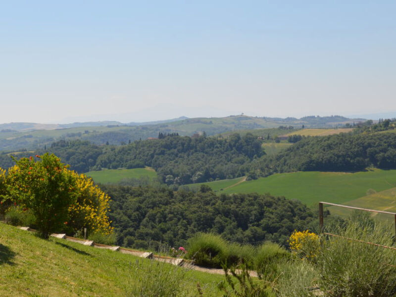 Crete Senesi Landscape