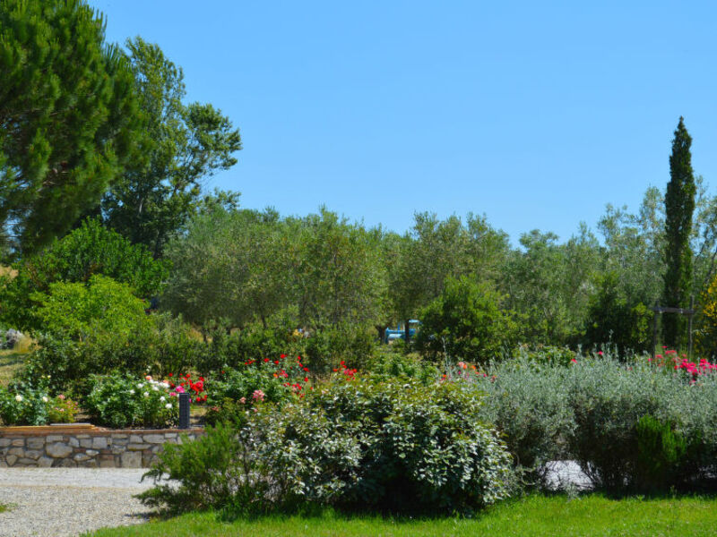 Crete Senesi Landscape