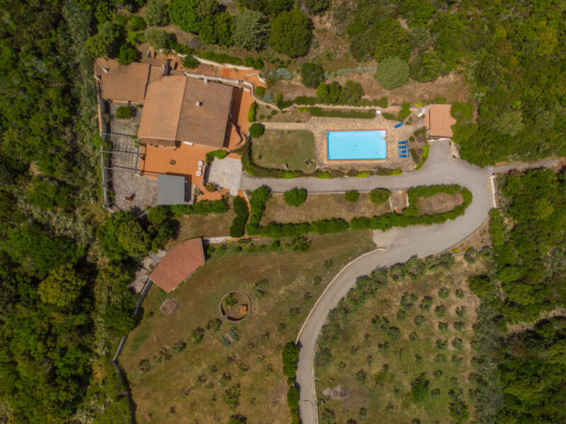 Paradiso