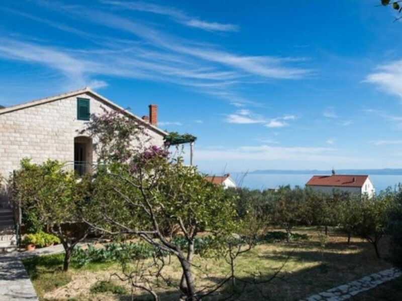 Apartmány Dina