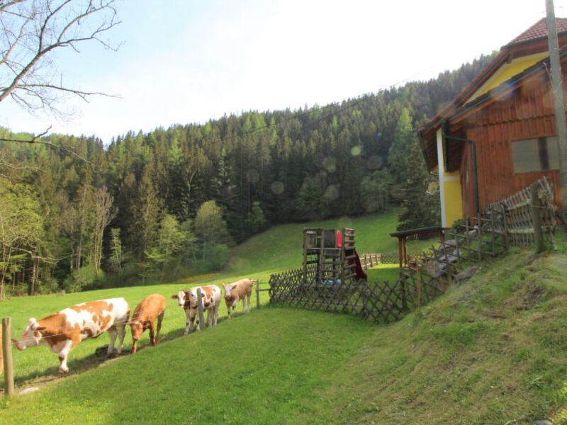 Krechen Alm