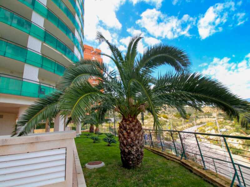 Vila Park