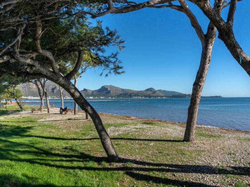 Oratge Beach Views