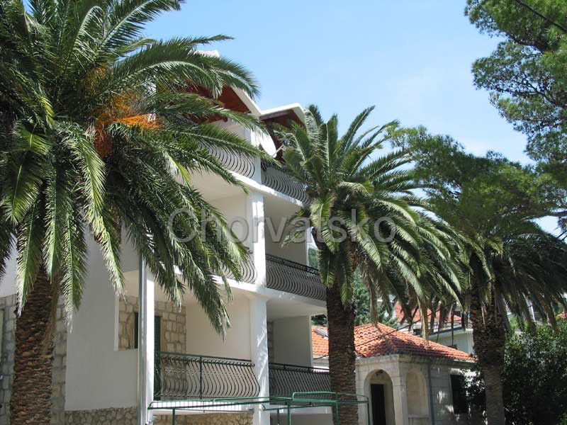Apartmány Palmina