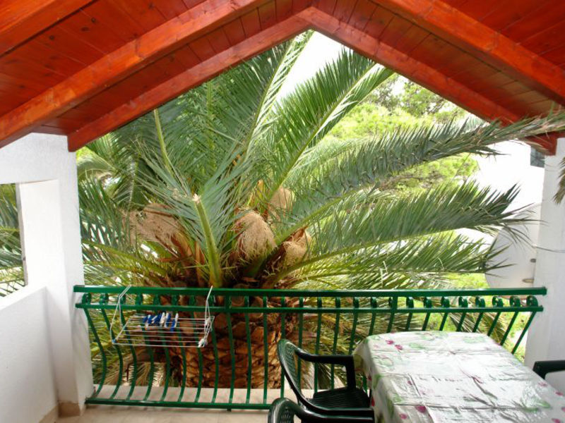 Apartmány Palmina