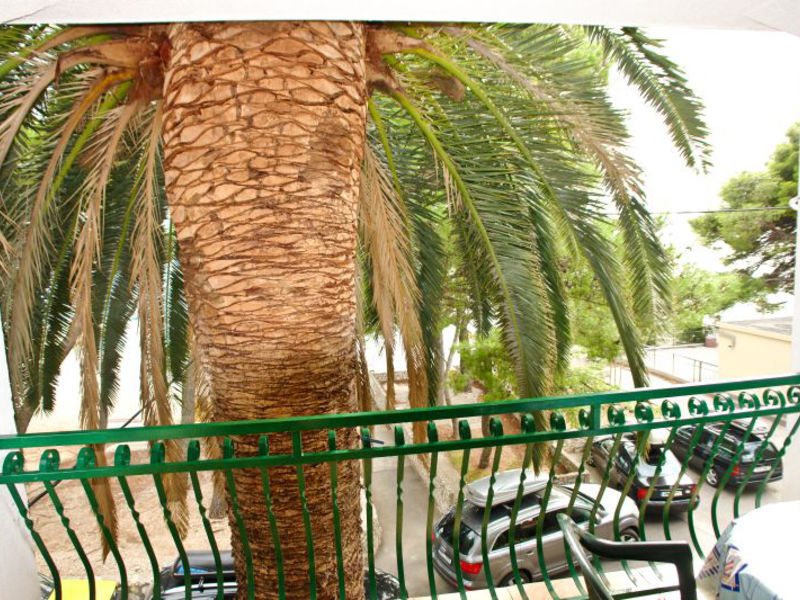 Apartmány Palmina