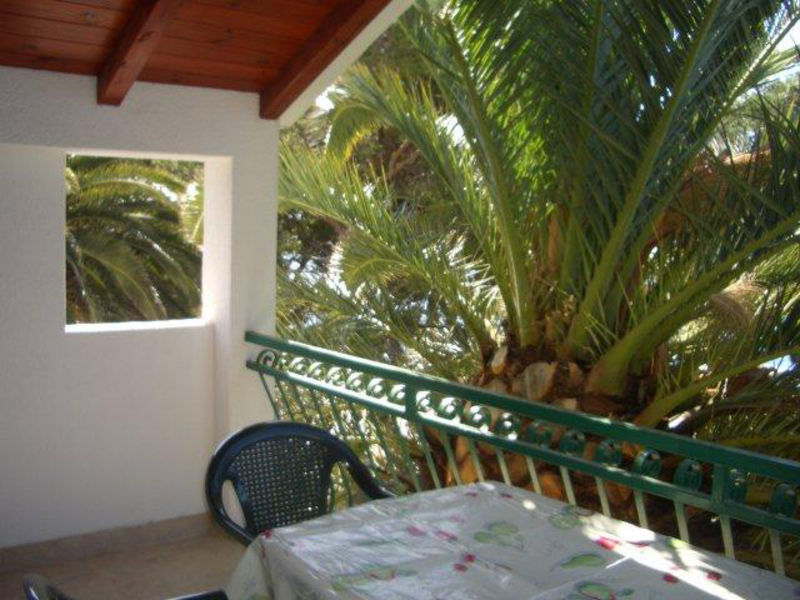Apartmány Palmina