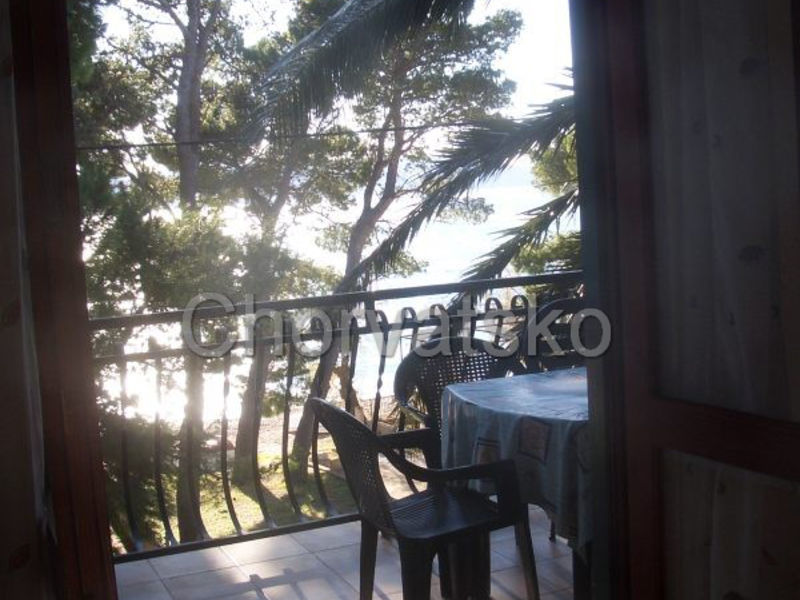 Apartmány Palmina